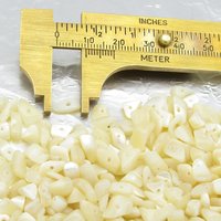 Small Mother of Pearl Natural Seashell Chips