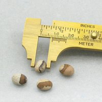Matte Picture Jasper Ovals, 10x8mm Cabochons (4)