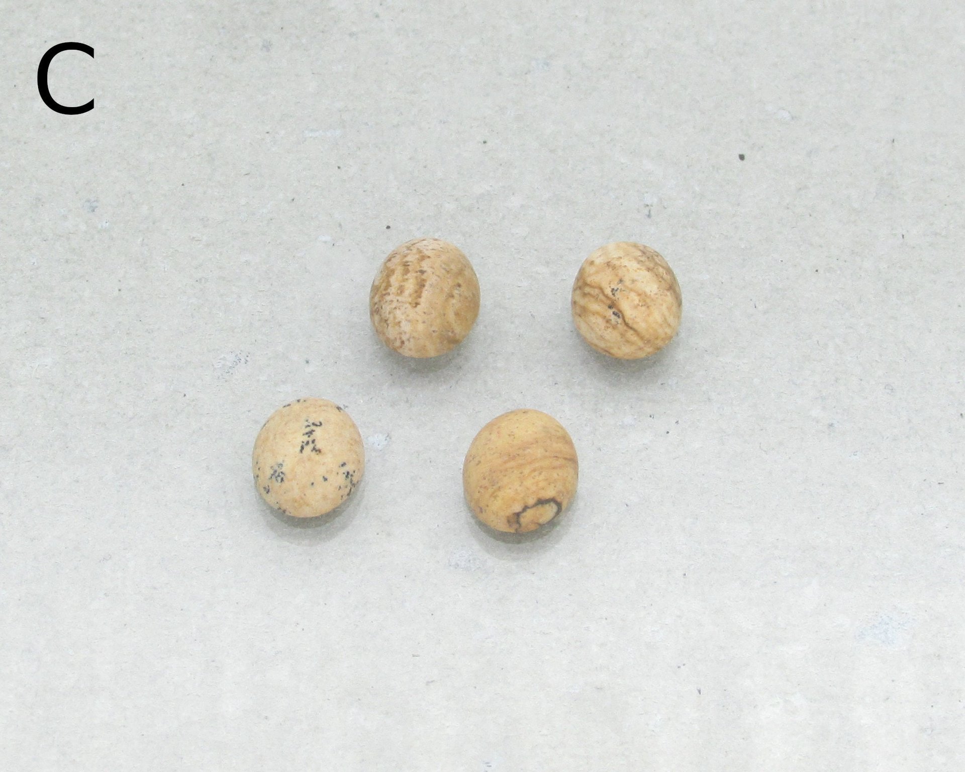 Matte Picture Jasper Ovals, 10x8mm Cabochons (4)